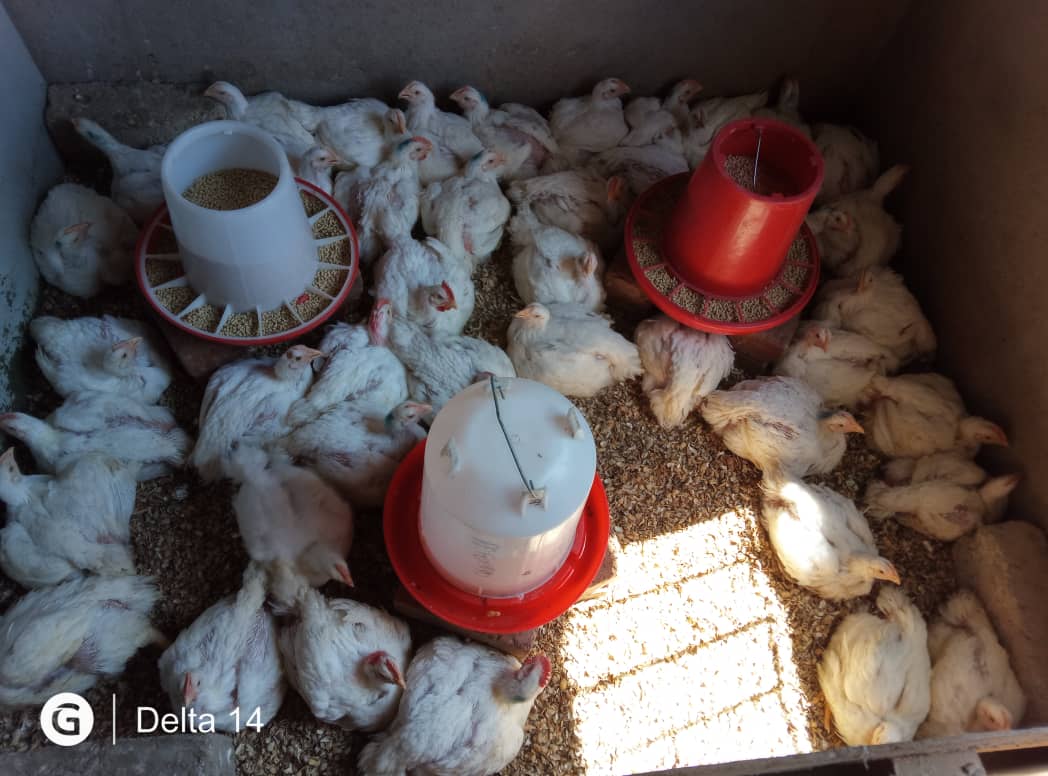 On-farm training session